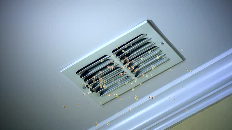 Best General Air Duct Cleaning  in Haw River, NC